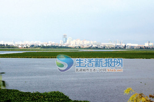 今年將投50億元治理滇池