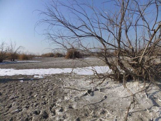內(nèi)蒙古托克托多座村莊因污水無法耕種土地(組圖)