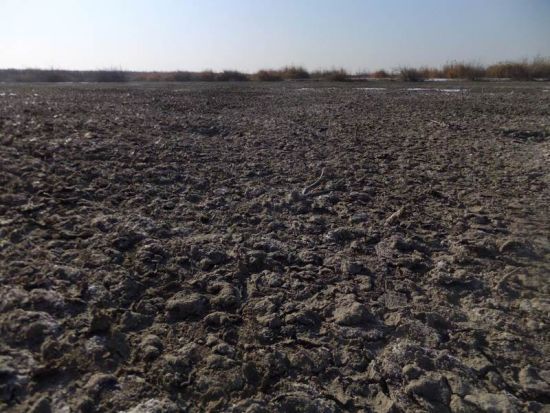 內(nèi)蒙古托克托多座村莊因污水無法耕種土地(組圖)