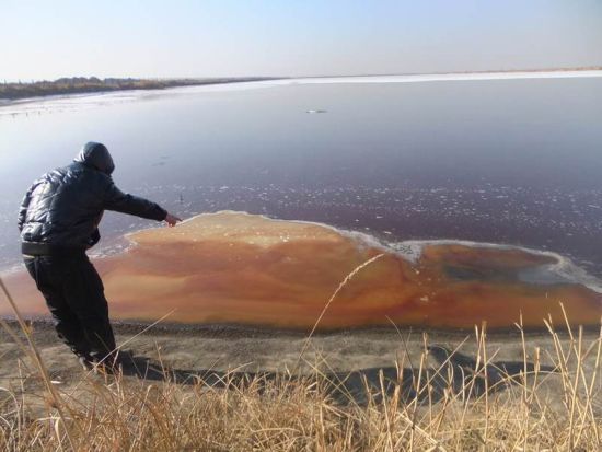 內(nèi)蒙古托克托多座村莊因污水無法耕種土地(組圖)
