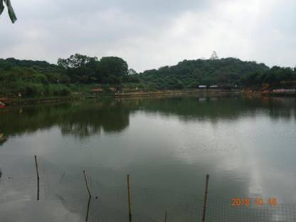 大嶺山鎮(zhèn)“10·6”一般淹溺事故調查報告