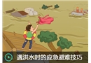 遇洪水時的應(yīng)急避難技巧