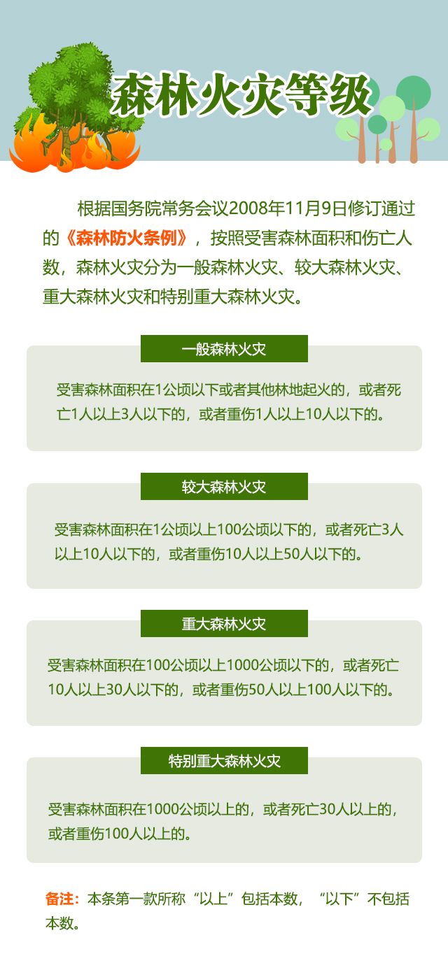 森林火災(zāi)的罪與罰