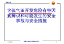 含硫氣田開發(fā)危險(xiǎn)有害因素辨識(shí)與安全措施