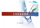 飛行區(qū)安全管理