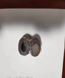 說明: 24eac09b1e98f9eff4bd65c03349179