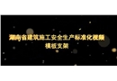 建筑施工安全生產(chǎn)標(biāo)準(zhǔn)化系列視頻教程-模板支撐架