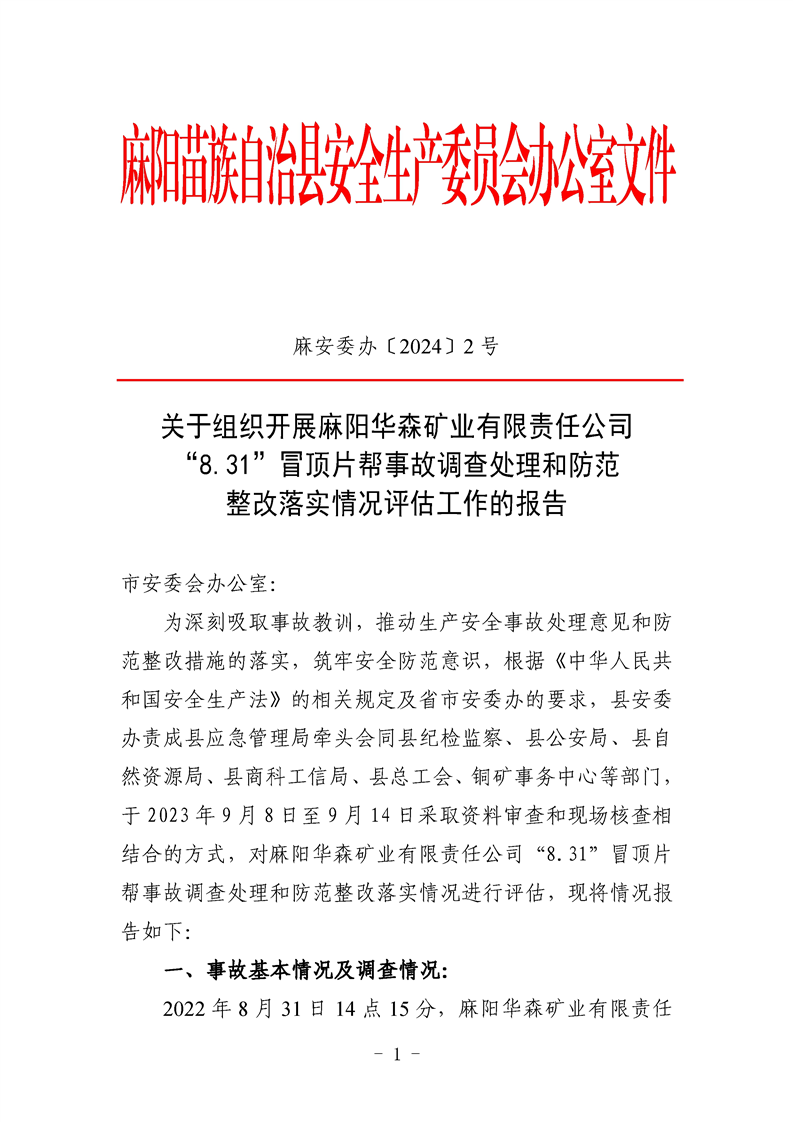 麻陽華森礦業(yè)有限責任公司“8.31”冒頂片幫事故調(diào)查評估報告