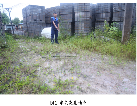 四川森朗通信網(wǎng)絡(luò)工程建設(shè)有限公司柳州分公司“6·14”觸電一般事故調(diào)查報(bào)告