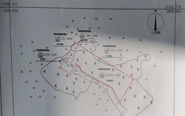 貴港平南縣康世達(dá)生豬養(yǎng)殖有限公司“1·16”較大坍塌事故調(diào)查報(bào)告