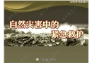 自然災害中的緊急救護知識