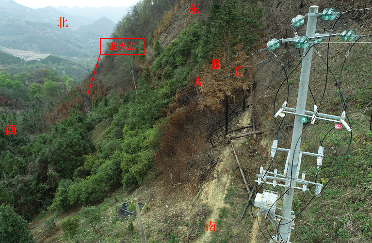 樂業(yè)縣幼平鄉(xiāng)達心村“2·21”森林火災調(diào)查報告