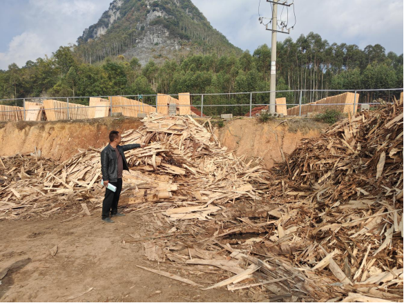 興賓良江來(lái)賓市興賓區(qū)齊峰木材有限責(zé)任公司“11·7”物體打擊事故調(diào)查報(bào)告