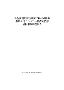 輪臺(tái)新疆德智信環(huán)保工程技術(shù)服務(wù)有限公司“7·9”一般高處墜落瞞報(bào)事故調(diào)查報(bào)告