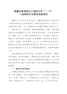 新疆玉象胡楊化工有限公司“1·19”一般物體打擊事故調(diào)查報告