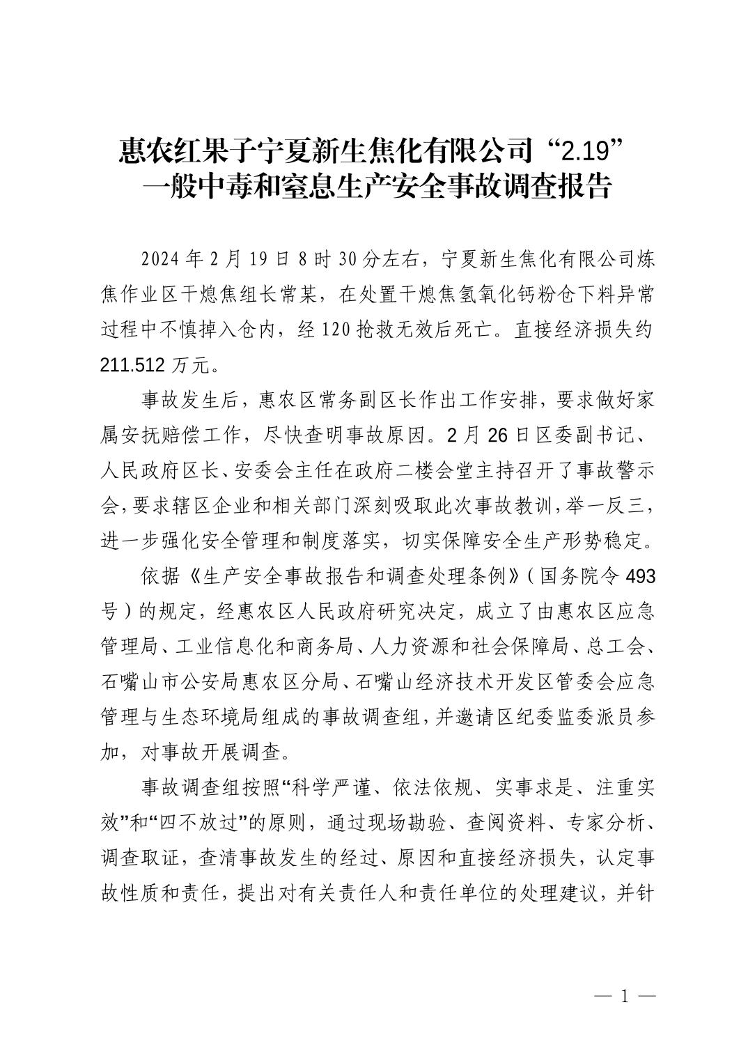 惠農紅果子寧夏新生焦化有限公司“2.19”一般中毒和窒息生產安全事故調查報告