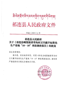 祁連縣峨堡鎮(zhèn)黃草溝村萬(wàn)只藏羊標(biāo)準(zhǔn)化生產(chǎn)基地“10·10”事故調(diào)查報(bào)告