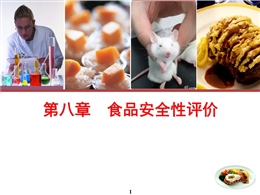 食品安全風(fēng)險(xiǎn)分析與評估-食品安全性評價(jià)
