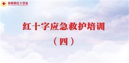 應(yīng)急救護(hù)培訓(xùn) 第四課 常見疾病和意外傷害的救護(hù)