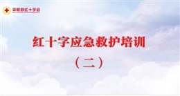 應(yīng)急救護(hù)培訓(xùn) 第二課 創(chuàng)傷維護(hù)