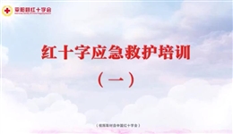 應(yīng)急救護(hù)培訓(xùn) 第一課 心肺復(fù)蘇
