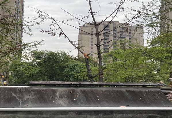 重慶喜木者花木有限公司“3·31”姚**高處墜落事故調(diào)查報(bào)告