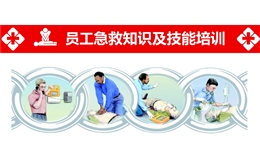 員工急救知識(shí)及技能培訓(xùn)