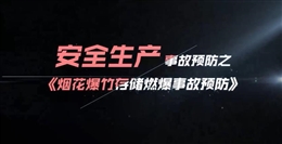 煙花爆竹存儲(chǔ)燃爆事故預(yù)防