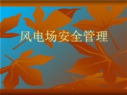風電安全管理課件