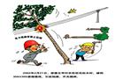 電力線(xiàn)路旁禁止砍樹(shù)