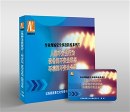 作業(yè)現(xiàn)場安全事故防范系列片(合集)