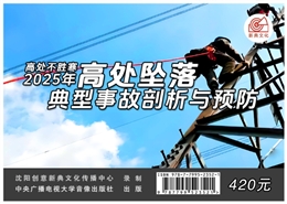 高處墜落典型事故剖析與預(yù)防（2025版）