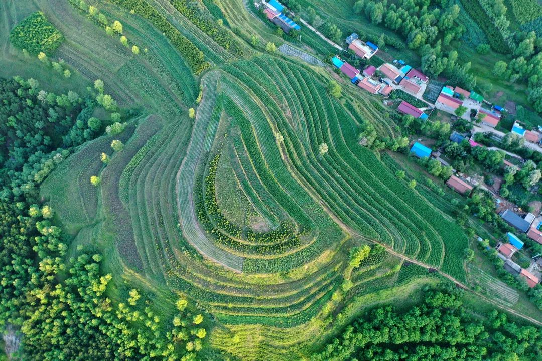 生態(tài)系統(tǒng)健康和管理——加強(qiáng)生態(tài)技術(shù)和工程管理，促進(jìn)生態(tài)系統(tǒng)健康發(fā)展